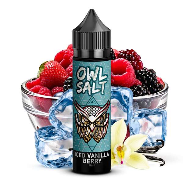 OWL SALT - Iced Vanilla Berry